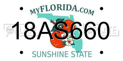 18AS660 Florida License Plate