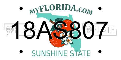 18AS807 Florida License Plate