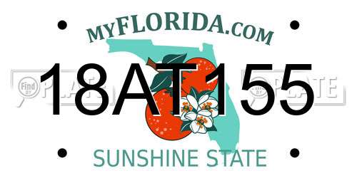 18AT155 Florida License Plate