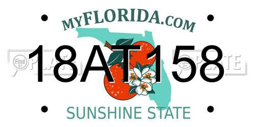 18AT158 Florida License Plate