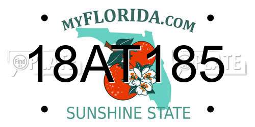 18AT185 Florida License Plate