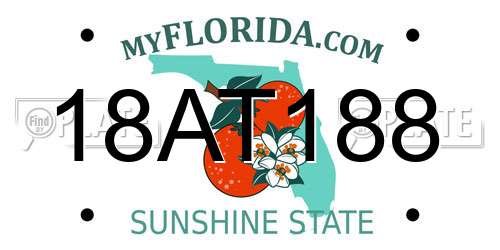 18AT188 Florida License Plate