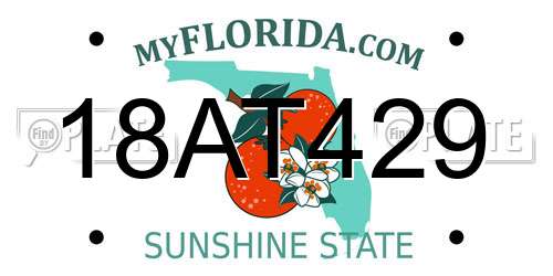 18AT429 Florida License Plate