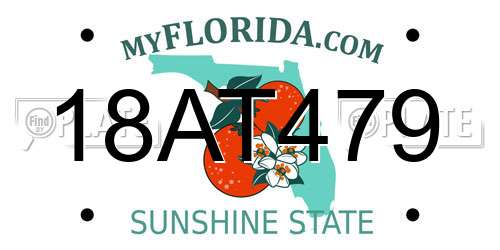 18AT479 Florida License Plate