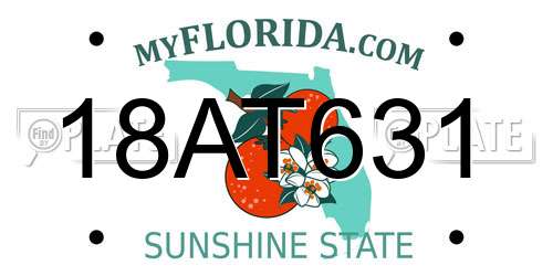 18AT631 Florida License Plate