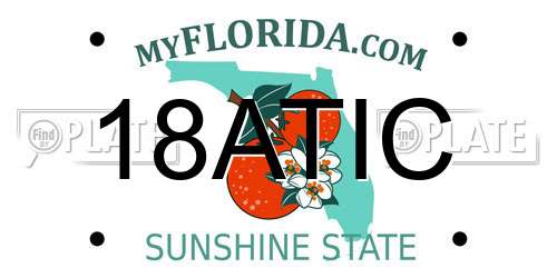 18ATIC Florida License Plate