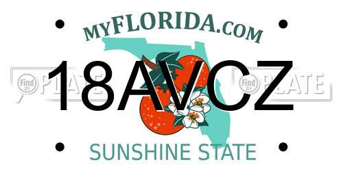 18AVCZ Florida License Plate