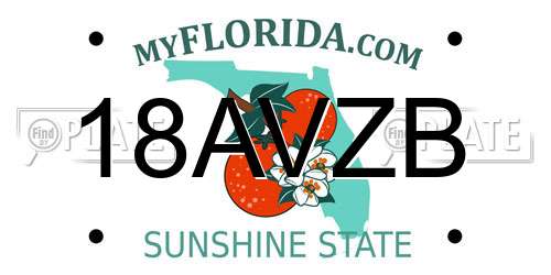 18AVZB Florida License Plate