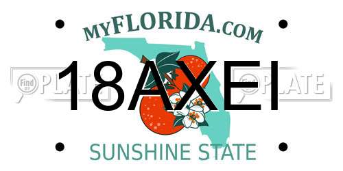 18AXEI Florida License Plate
