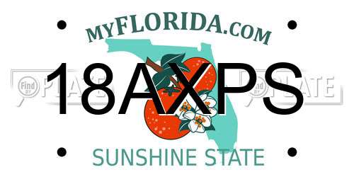 18AXPS Florida License Plate