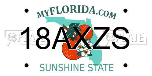 18AXZS Florida License Plate