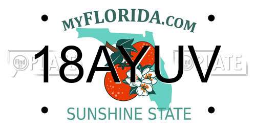 18AYUV Florida License Plate