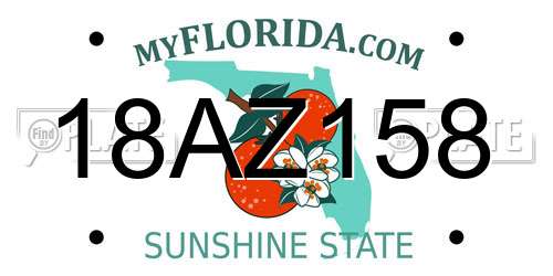 18AZ158 Florida License Plate