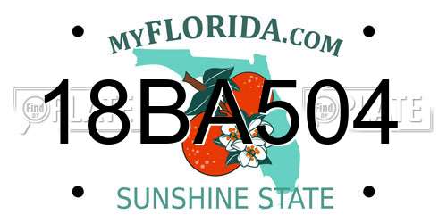 18BA504 Florida License Plate