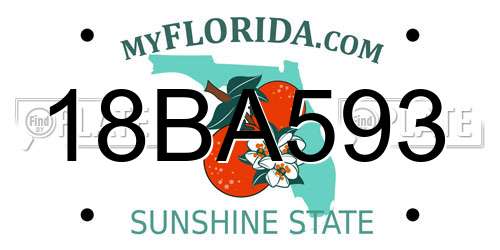 18BA593 Florida License Plate