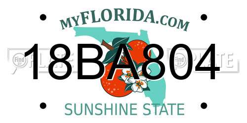 18BA804 Florida License Plate