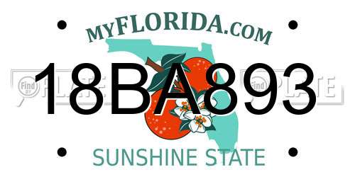 18BA893 Florida License Plate