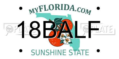 18BALF Florida License Plate