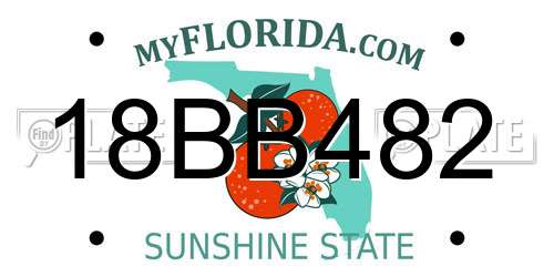 18BB482 Florida License Plate