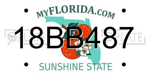 18BB487 Florida License Plate