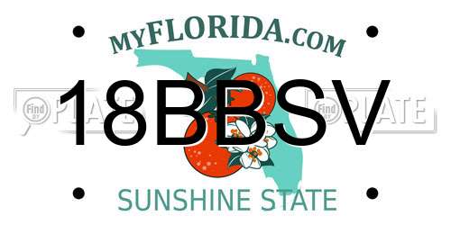 18BBSV Florida License Plate