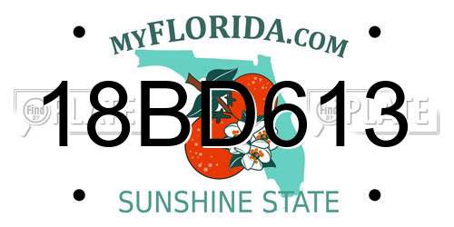 18BD613 Florida License Plate