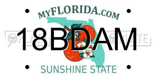 18BDAM Florida License Plate