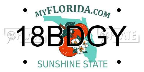 18BDGY Florida License Plate