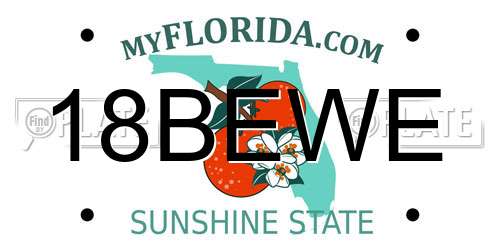 18BEWE Florida License Plate