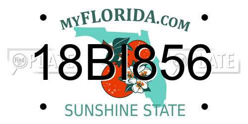 18BI856 Florida License Plate