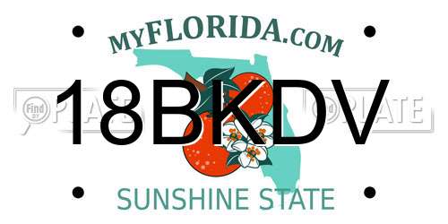 18BKDV Florida License Plate
