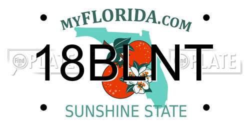 18BLNT Florida License Plate