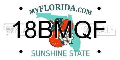 18BMQF Florida License Plate