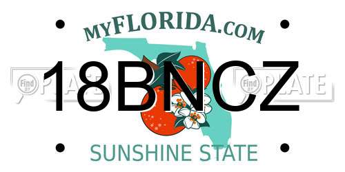 18BNCZ Florida License Plate