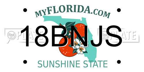 18BNJS Florida License Plate