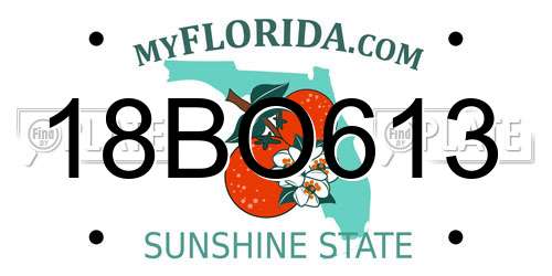 18BO613 Florida License Plate