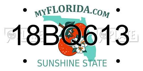 18BQ613 Florida License Plate