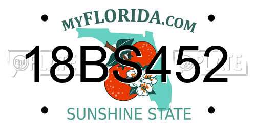 18BS452 Florida License Plate