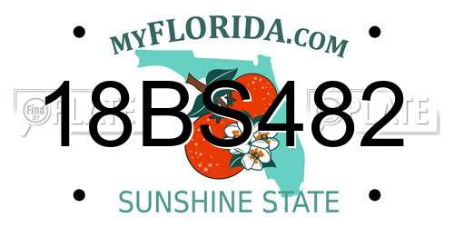 18BS482 Florida License Plate