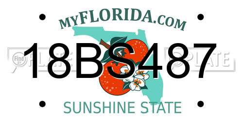 18BS487 Florida License Plate