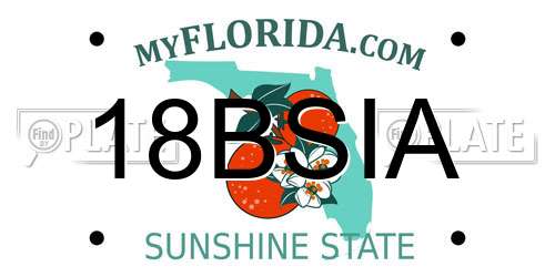 18BSIA Florida License Plate