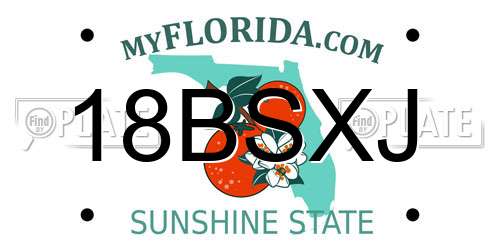 18BSXJ Florida License Plate