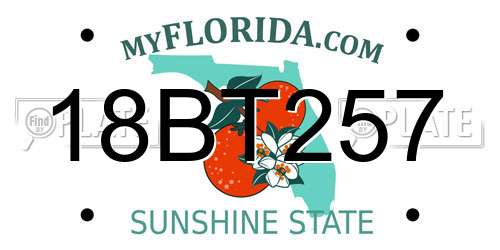 18BT257 Florida License Plate