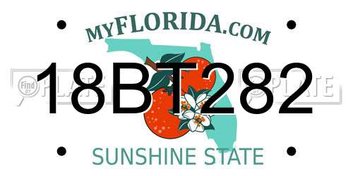 18BT282 Florida License Plate