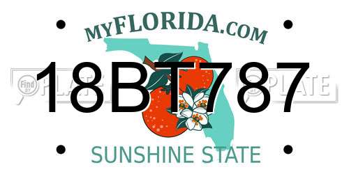 18BT787 Florida License Plate