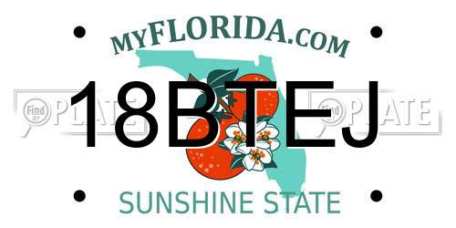 18BTEJ Florida License Plate