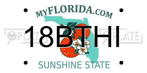 18BTHI Florida License Plate