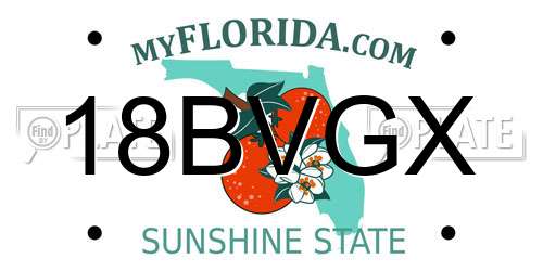 18BVGX Florida License Plate