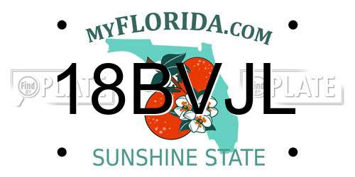18BVJL Florida License Plate