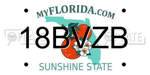 18BVZB Florida License Plate